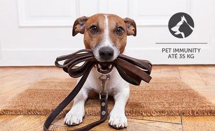 Imagem de Kit Alarme Intelbras 1 Sensor Infra Pet Cf E 2 Magnético Sf