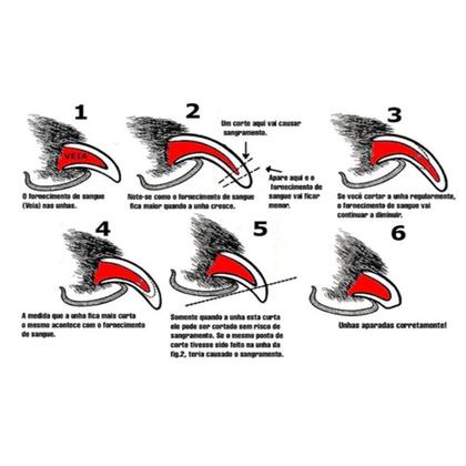 Imagem de Kit Alicate Corte De Unhas Caes Gato 12 Cm Com Lixa Cor ul