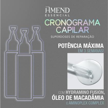 Imagem de Kit Ampolas Cronograma Capilar Amend Essencial Hidratação Nutrição Reconstrução 3x14mL
