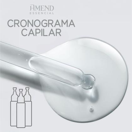 Imagem de Kit Ampolas Cronograma Capilar Amend Essencial Hidratação Nutrição Reconstrução 3x14mL