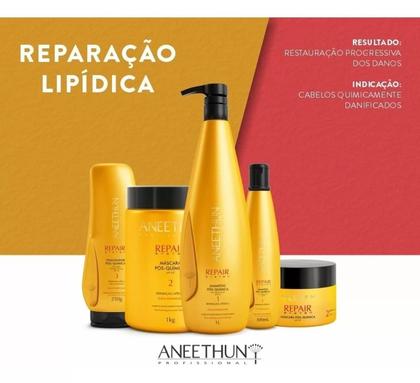Imagem de Kit Aneethun Repair System Shampoo 300ml e Óleo 55ml