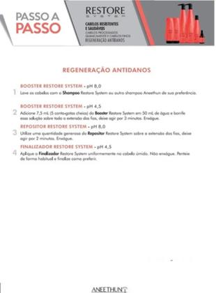 Imagem de Kit Aneethun Restore - Shammpoo 300ml + Máscara 250g
