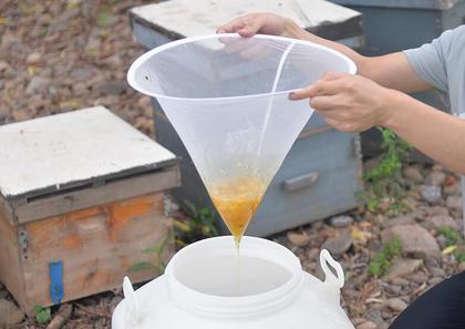 Imagem de Kit Apicultura Coador p/ Mel + Garfo 21 Dentes em Inox