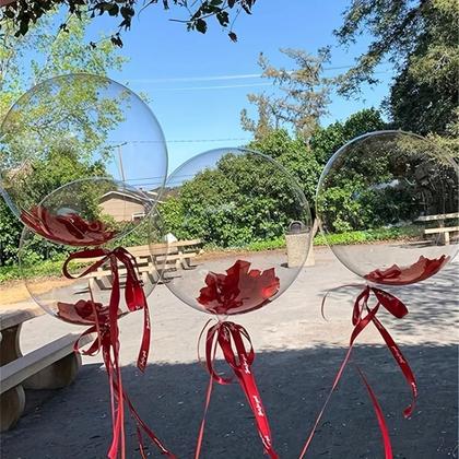 Imagem de Kit Balão Bubble Transparente com Pétalas Decoração Festa Casamento