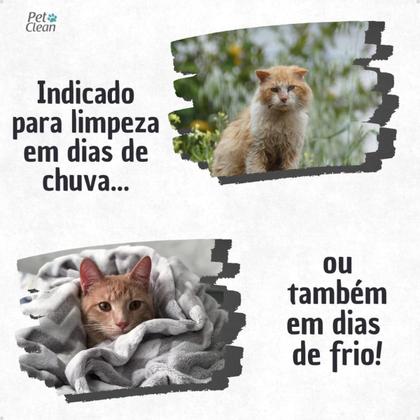 Imagem de KIT Banho a Seco Gato 300ml, Lenço Umedecido 75unid Gatos, Talco Gatos e Perfume Vários Aromas Pet Clean