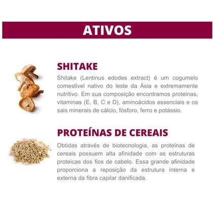 Imagem de Kit Bio Extratus Shitake Plus Sh 350ml + Cond 350ml + Másc 250g + Elixir 100ml