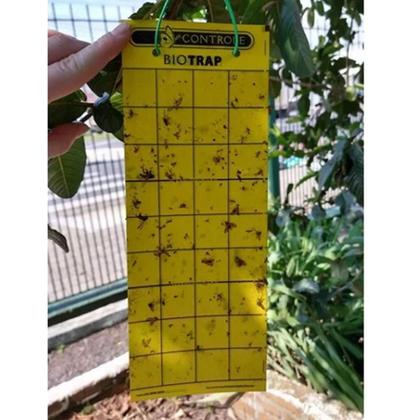 Imagem de Kit Biotrap Plaquinha Amarela Bio Controle - 20 Unidades