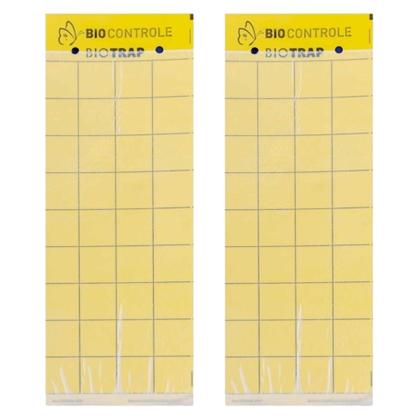 Imagem de Kit Biotrap Plaquinha Amarela Bio Controle - 20 Unidades