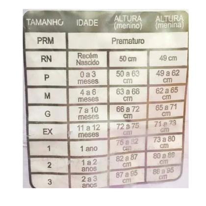 Imagem de Kit Body Bebê 2 Bodys Manga Longa Menina recém nascida
