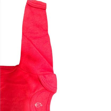 Imagem de Kit Body Bebê 2 Bodys Manga Longa Menina recém nascida