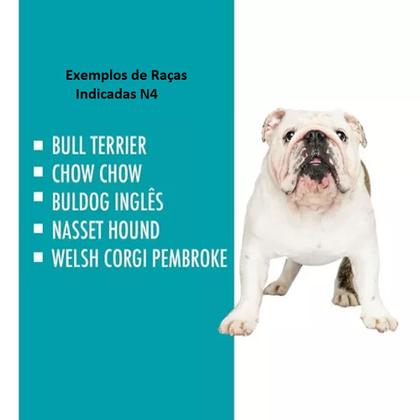 Imagem de Kit Brinquedo Cabo Guerra Cachorro + Casa Pet Grande N4 Rosa