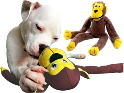 Imagem de Kit Brinquedo para Pet Pelucia Macaco + Halteres com Apito