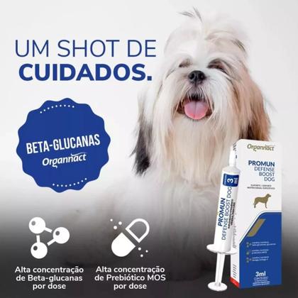 Imagem de Kit C/ 10un Promun Defense Boost Dog Suplemento Imunidade3ml
