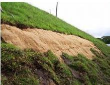 Imagem de Kit C/2 Manta Fibra de Coco Calandrada 1Mx1Mx4mm