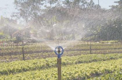 Imagem de Kit C/20 Aspersor P5 Irrigação Com Rosca De 1/2 - Agrojet