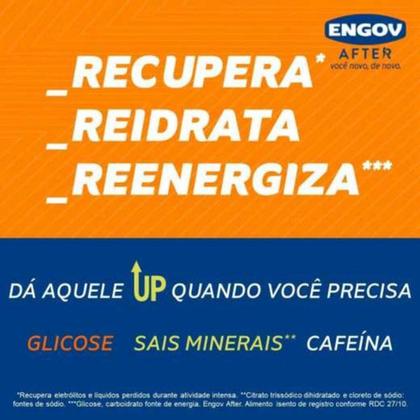 Imagem de Kit c/4 Engov After sabores 250ml cada - Recupera