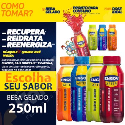 Imagem de Kit c/4 Engov After sabores 250ml cada - Recupera