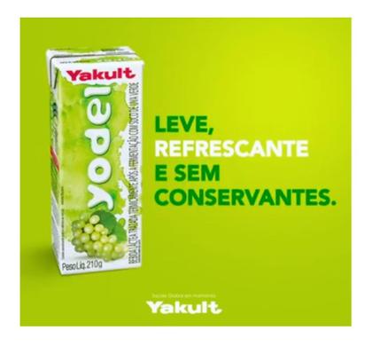 Imagem de Kit C/6 Bebida Láctea Fermentada Yodel Uva Verde 210ml