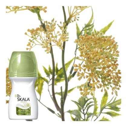 Imagem de Kit C/6 Desodorante Roll-on Skala 60ml Feminino Erva Doce