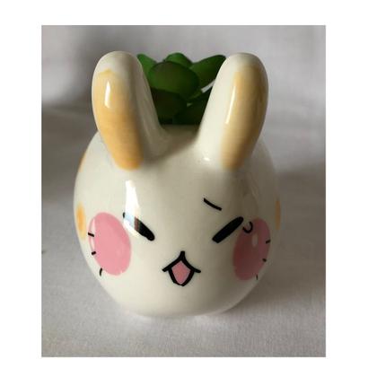 Imagem de Kit C/6 Mini Vasinho Planta Artificial Suculenta Coelhinho