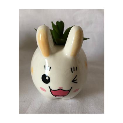 Imagem de Kit C/6 Mini Vasinho Planta Artificial Suculenta Coelhinho