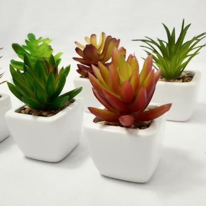 Imagem de Kit C/6 Suculentas Artificiais Mini Vaso Cerâmica Branco