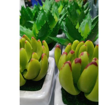 Imagem de Kit C/6 Vasinhos Cerâmica Flores Artificiais