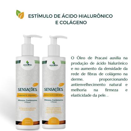 Imagem de Kit Cabelo E Pele Pracaxi: Hidratação Completa E Brilho