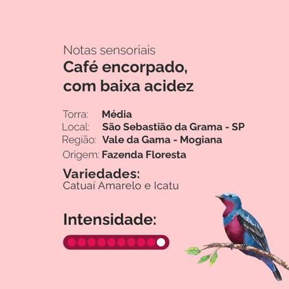 Kit Café Especial Fazenda Floresta Intenso Moído 4 pacotes de 250g - CAFÉ FAZENDA FLORESTA Imagem de Kit Café Especial Fazenda Floresta Intenso Moído 4 pacotes de 250g