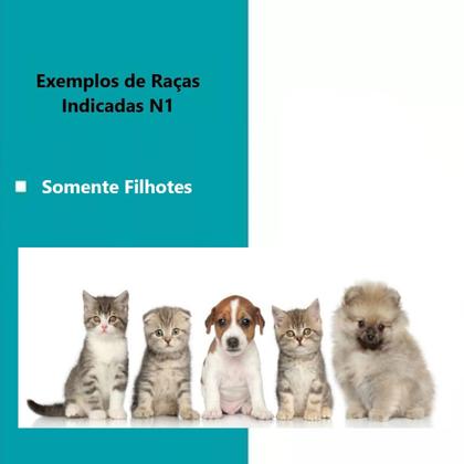 Imagem de Kit Caixa Transporte Rosa Dog Cat N1 E Rasqueadeira Chalesco