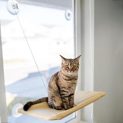 Imagem de Kit Cama Suspensa De Janela Para Gatos Com Brinquedo Abacate Cat Nip