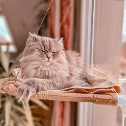 Imagem de Kit Cama Suspensa De Janela Para Gatos Com Brinquedo Abacate Cat Nip