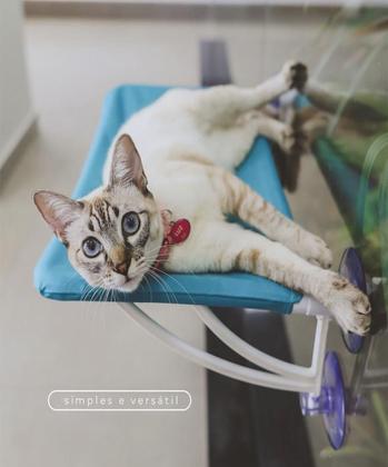 Imagem de Kit Cama Suspensa Fixação Janelas / Vidros P/ Gatos + Brinquedo Ratinho