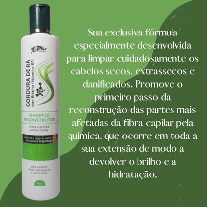 Imagem de Kit Capilar Alquimia Gordura de Rã com Biotina Profissional Reconstrutor