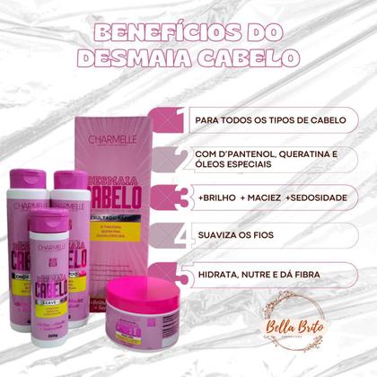 Imagem de Kit capilar desmaia cabelo anti volume e anti frizz - 4 itens charmelle