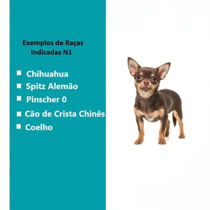 Imagem de Kit Casinha Resistente Cachorro N1 E Mordedor Corda Chalesco