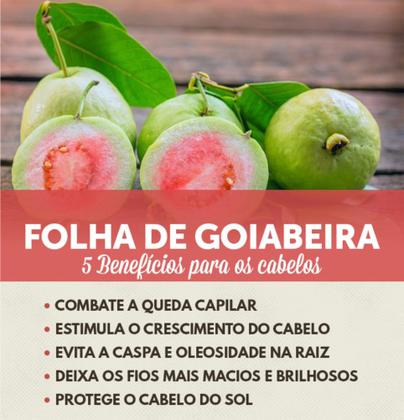 Imagem de Kit Chá De Goiabeira theros therapy antiqueda Capilar Shampoo Máscara goiabeira, extrato de Alecrim e Cravo da Índia