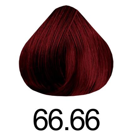 Imagem de Kit Coloração 66.66 VERMELHO INTENSO ESPECIAL Haskell