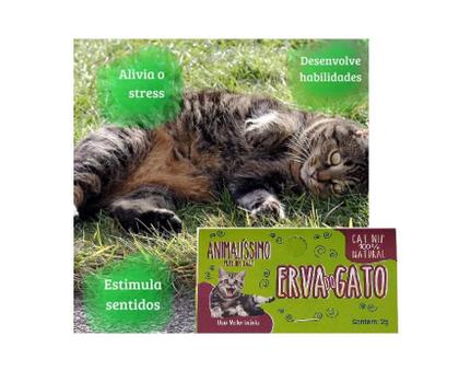 Imagem de Kit Com 02 Cat Nip Erva Do Gato Sachê 2 G Natural Pet Premium Care