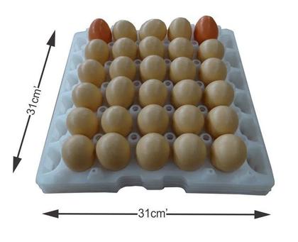 Imagem de kit com 05 Bandejas Plástica para  Transporte De Ovos