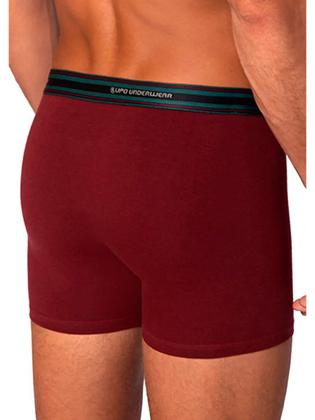 Imagem de Kit com 10 Cuecas Boxer Lupo 523-003