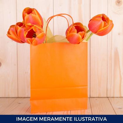 Imagem de Kit com 10 Sacolas de Papel Laranja 23,5x10x31,5cm com Alça