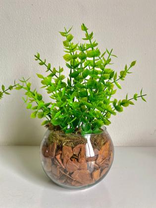 Imagem de kit com 2 Arranjos com plantinhas em vaso redondo para decoração de ambientes