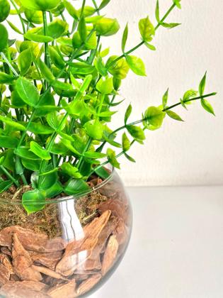 Imagem de kit com 2 Arranjos com plantinhas em vaso redondo para decoração de ambientes