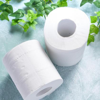 Imagem de Kit com 2 Papel Higiênico Personal Vip Folha Dupla Leve 16 Pague 15 Barato Atacado