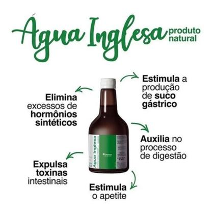 Imagem de Kit Com 2cx Água Inglesa Frasco 500ml - Catarinense