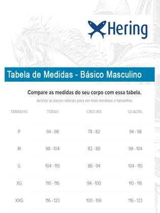 Imagem de Kit com 3 Camisetas Masculina Hering 201