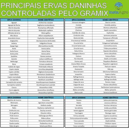 Imagem de Kit Com 3 Herbicidas Seletivo Para Gramados Gramix 100ml - Dexter