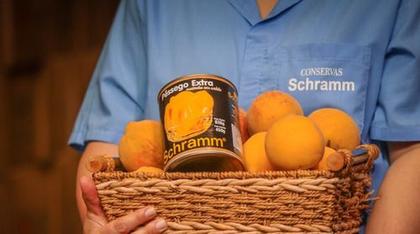 Imagem de Kit Com 3 Pêssegos Em Calda Zero Açúcar 450g - Schramm