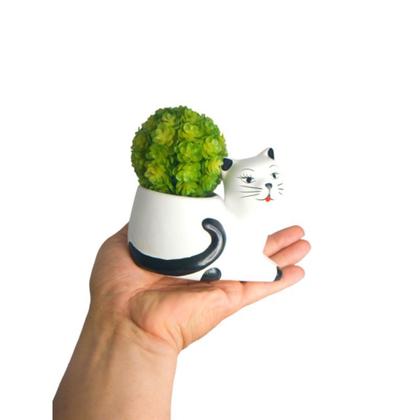 Imagem de kit com 3 Vasos Gatinho Cachepô Cerâmica Decoração